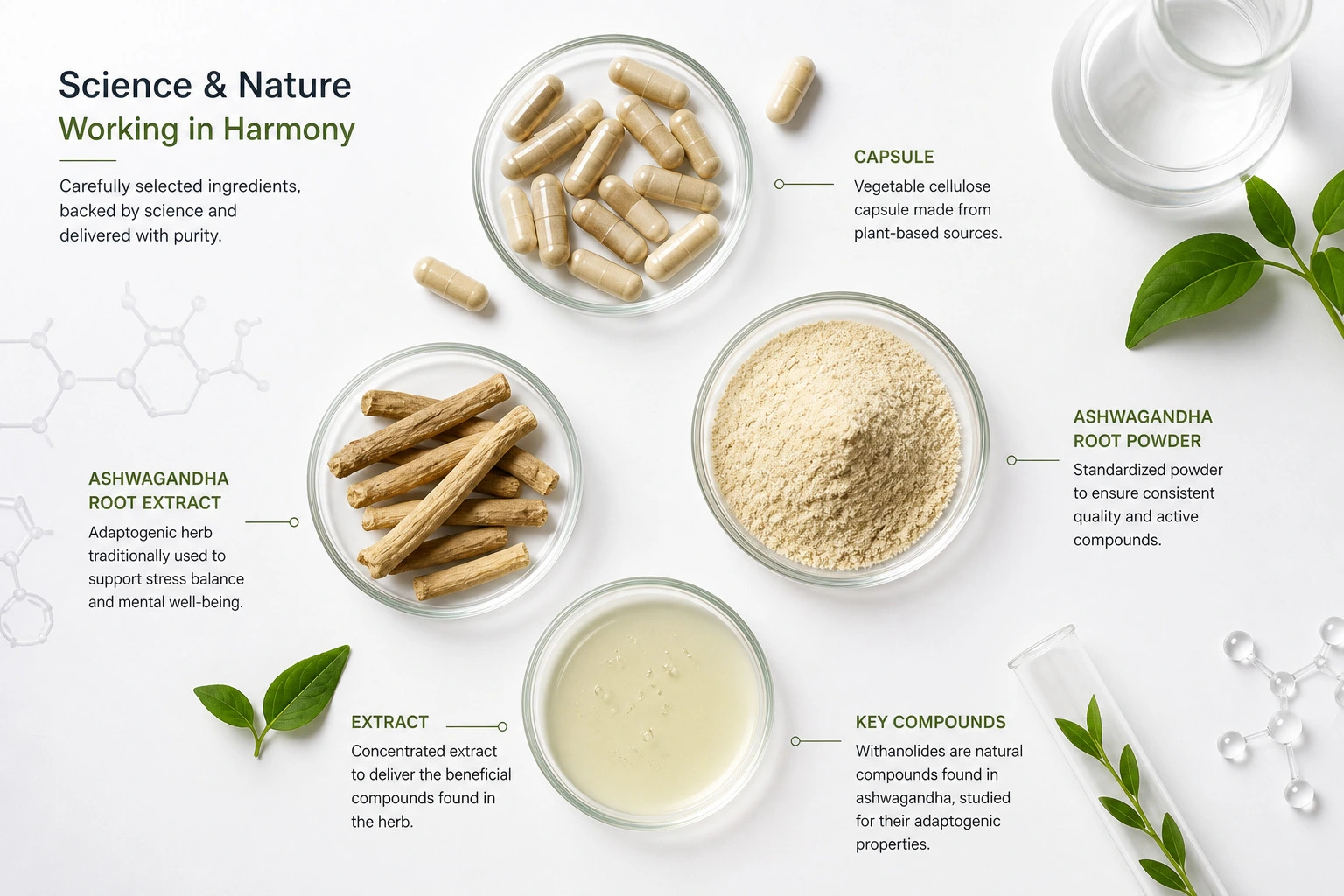 supplement ingredients capsules ashwagandha magnesium